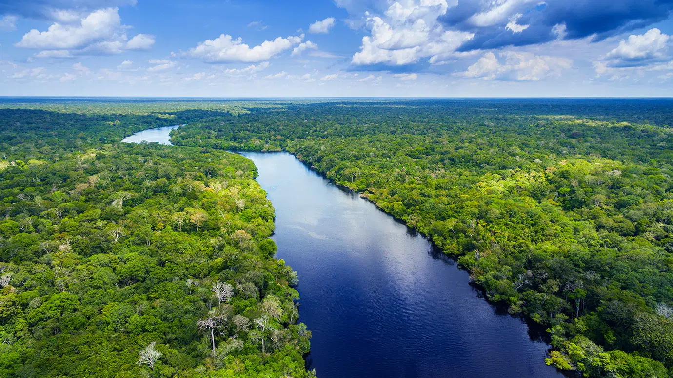 biodiversity specialists header