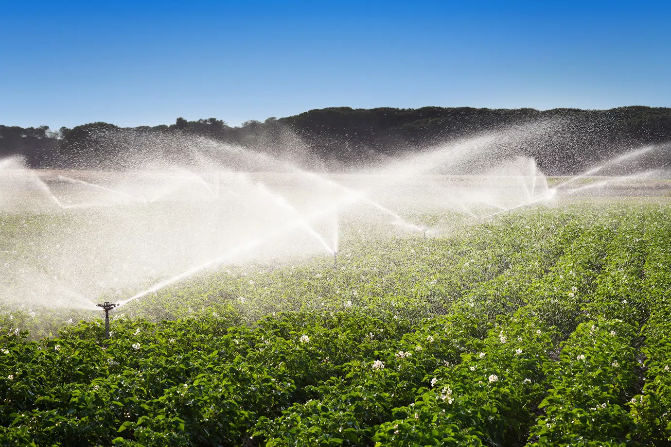 water management in agriculture header