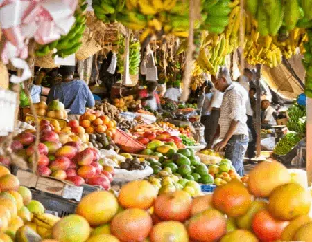 African agribusiness header