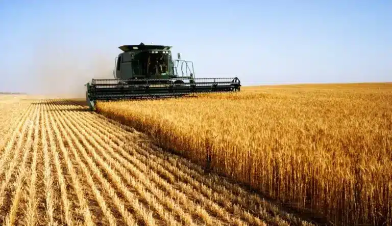 future of wheat header