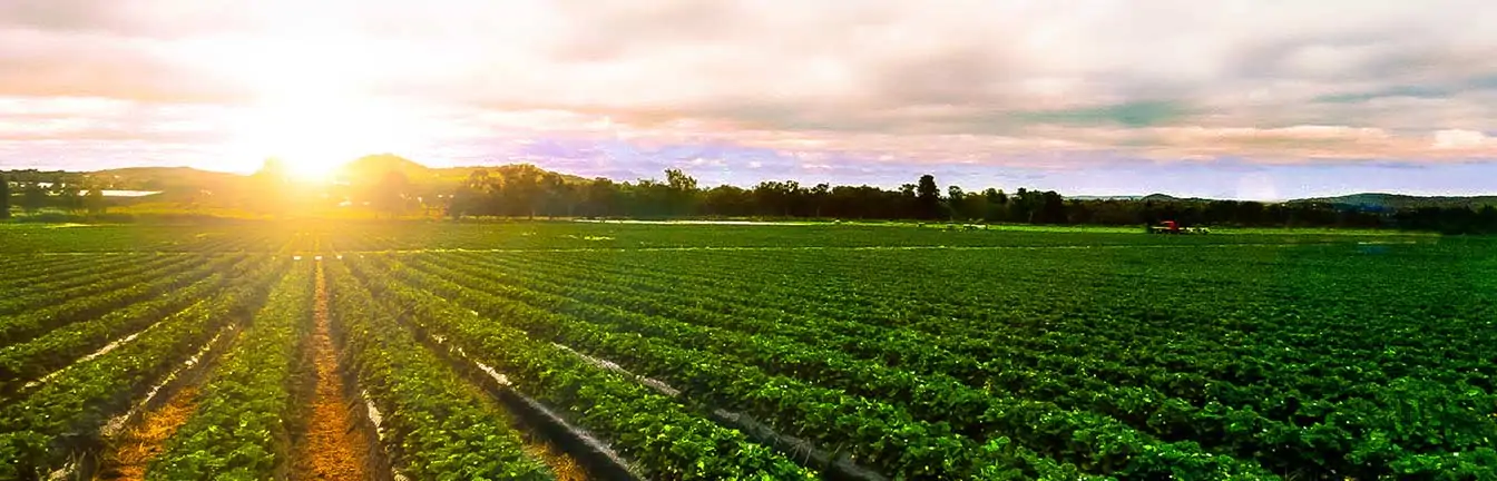 measuring food security header