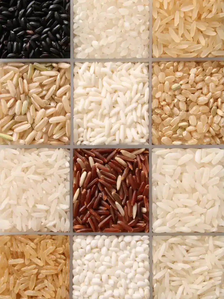 Rice market header