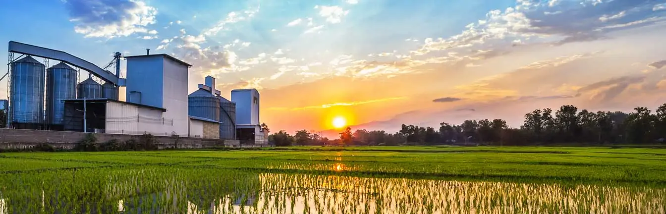 Rice production in africa header