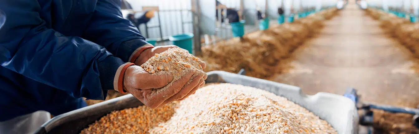 livestock feed storage banner